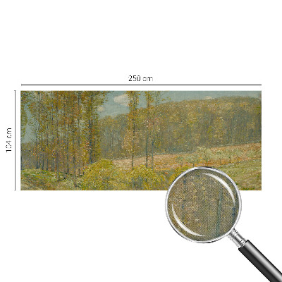 Dječja fototapeta Šumski krajolik