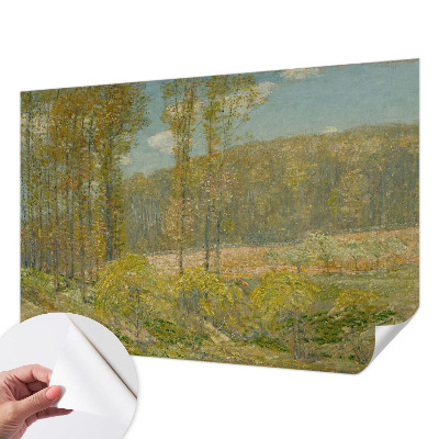 Dječja fototapeta Šumski krajolik