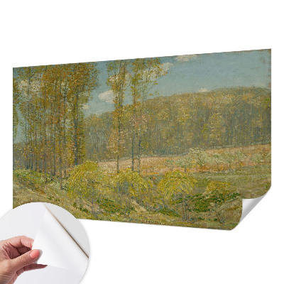 Dječja fototapeta Šumski krajolik