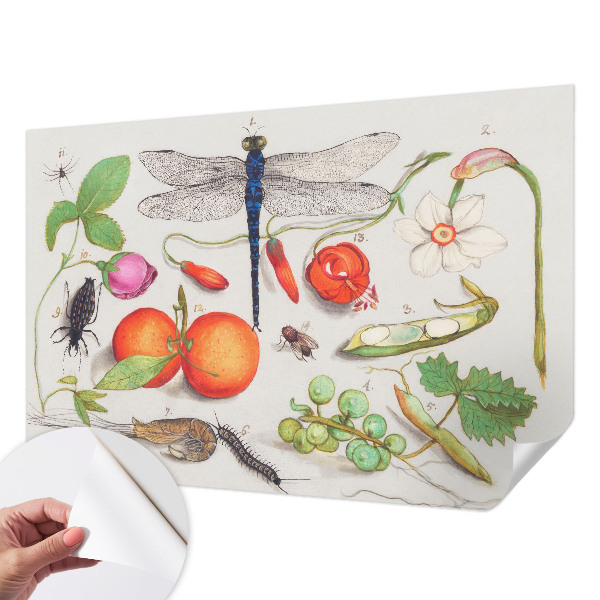 Dječja fototapeta Ilustracija prirode
