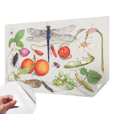 Dječja fototapeta Ilustracija prirode
