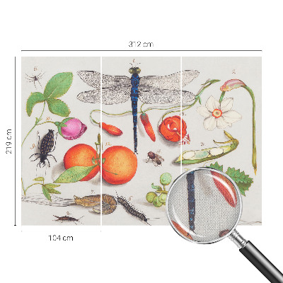 Dječja fototapeta Ilustracija prirode