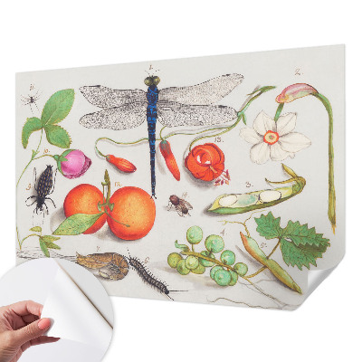 Dječja fototapeta Ilustracija prirode
