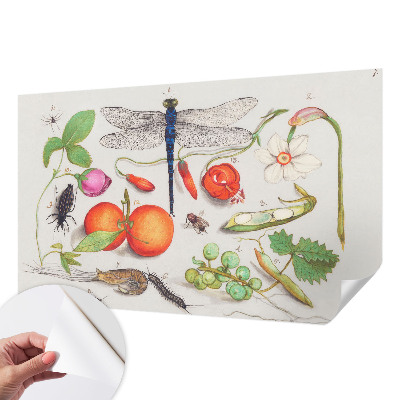 Dječja fototapeta Ilustracija prirode