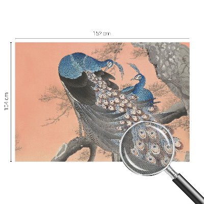 Zidna tapeta Paunova elegancija