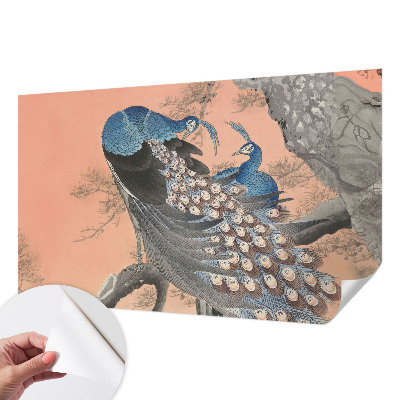Zidna tapeta Paunova elegancija
