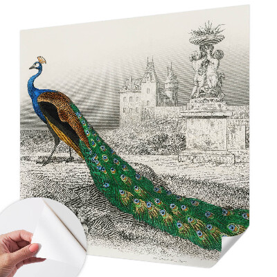 Samoljepljiva fototapeta Šareno perje