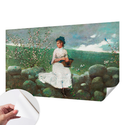Foto tapeta za dječju sobu Cvjetni mir