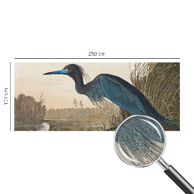 Fototapeta Vodene ptice