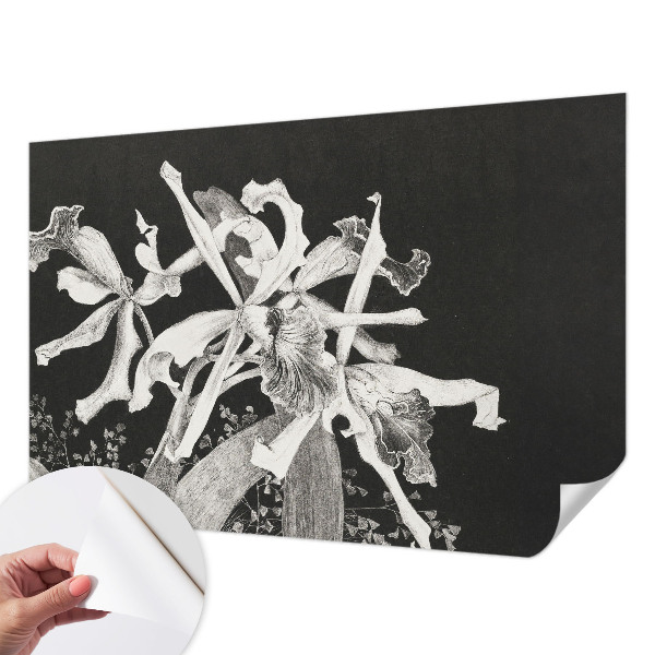 Dječja fototapeta Ilustracija orhideje