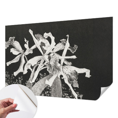 Dječja fototapeta Ilustracija orhideje