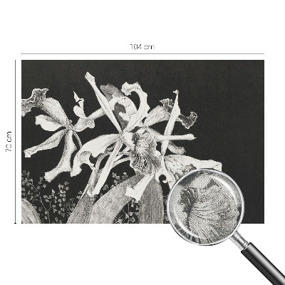 Dječja fototapeta Ilustracija orhideje