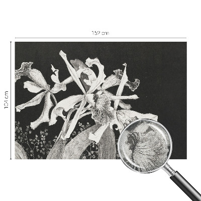 Dječja fototapeta Ilustracija orhideje