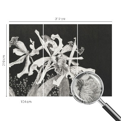 Dječja fototapeta Ilustracija orhideje