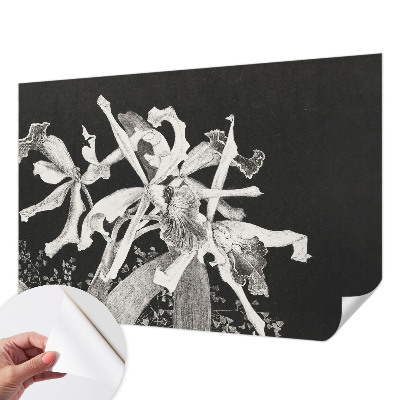 Dječja fototapeta Ilustracija orhideje