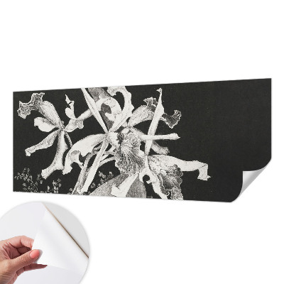 Dječja fototapeta Ilustracija orhideje