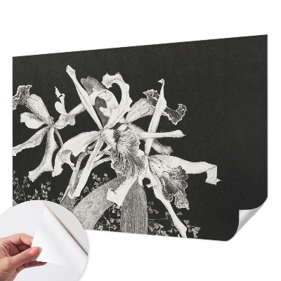 Dječja fototapeta Ilustracija orhideje