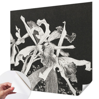 Dječja fototapeta Ilustracija orhideje