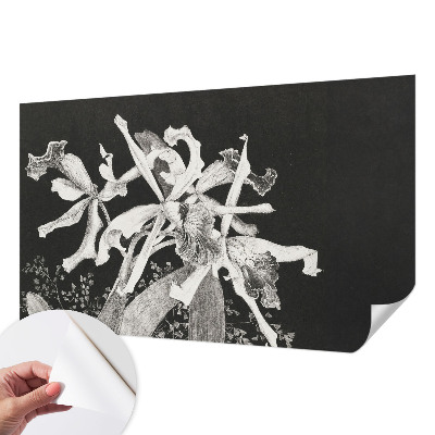 Dječja fototapeta Ilustracija orhideje