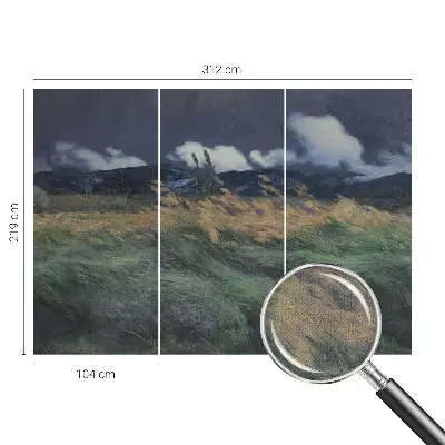 Dječja fototapeta s motivom pokošenih trava
