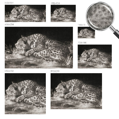 Zidna tapeta Leopard se odmara