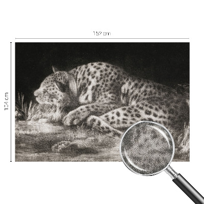 Zidna tapeta Leopard se odmara