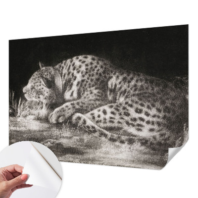 Zidna tapeta Leopard se odmara