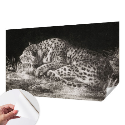 Zidna tapeta Leopard se odmara