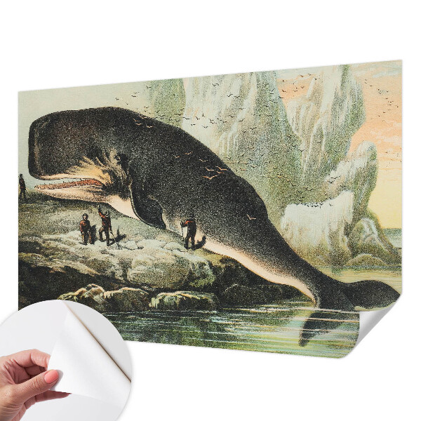 Samoljepljiva fototapeta za spavaću sobu Morski gigantizam