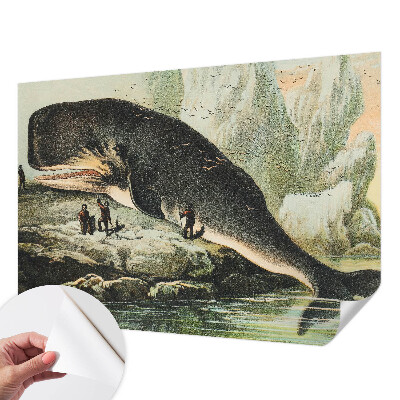 Samoljepljiva fototapeta za spavaću sobu Morski gigantizam