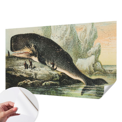 Samoljepljiva fototapeta za spavaću sobu Morski gigantizam