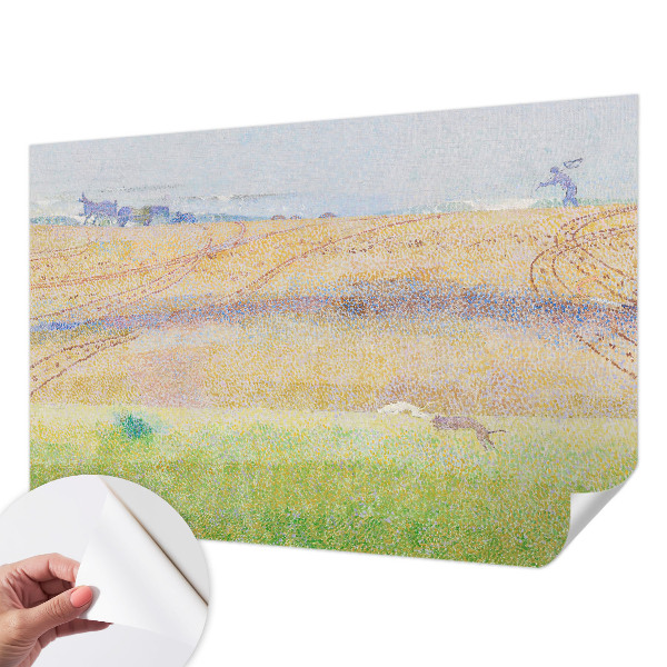 Fototapeta Ljetno polje