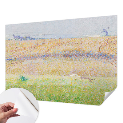 Fototapeta Ljetno polje