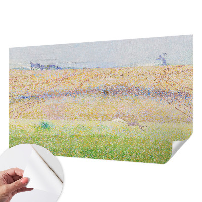 Fototapeta Ljetno polje