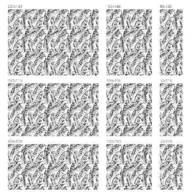 Dekorativna folija za staklo Tropsko lišće