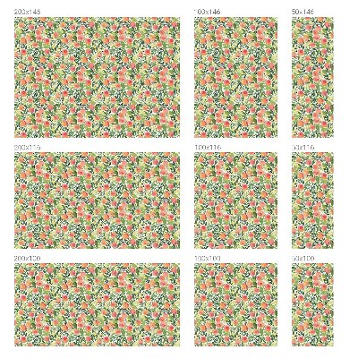 Folija za zaštitu od pogleda Uzorak voća