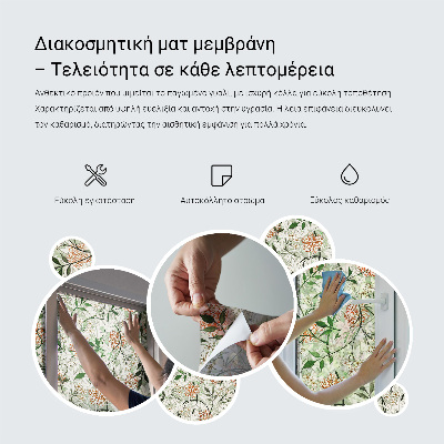 Dekorativna folija za staklo Botanički listovi