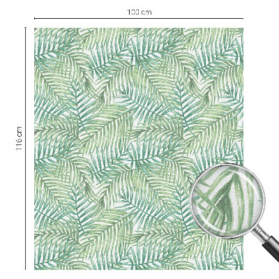 Folija za zaštitu od pogleda Zelena paprat