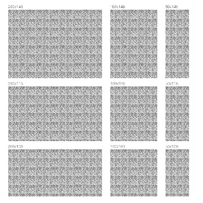 Folija za prozore zaštita od pogleda Cvjetna elegancija