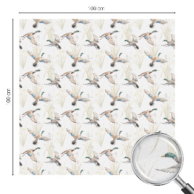 Folija za zaštitu od pogleda Ptice prirode