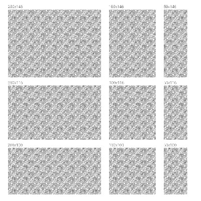 Folija za zaštitu od pogleda Klasični portreti