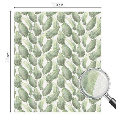 Samoljepljiva folija za staklo vitraj Zeleno lišće