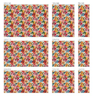 Folija za prozore zaštita od pogleda Eksplozija cvijeća