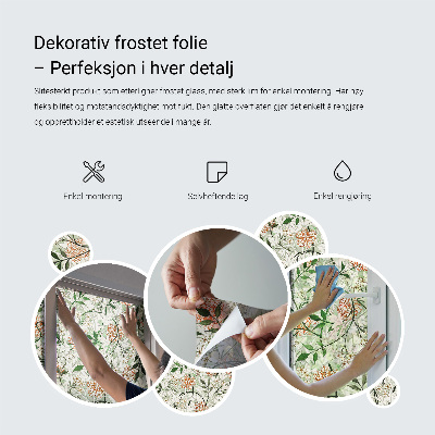Folija za prozore zaštita od pogleda Cvjetna simetrija