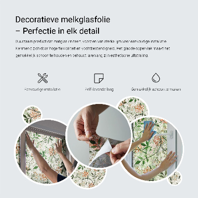 Dekorativna folija za staklo Egzotične palme