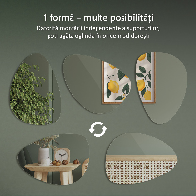 Asimetrično ogledalo s organskim oblikom
