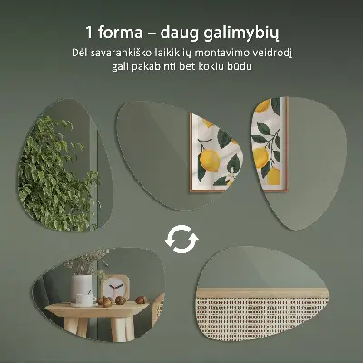 Asimetrično ogledalo organskog oblika