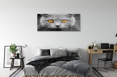 Akrilna slika Britanska siva mačka