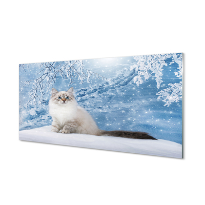 Fotografija na akrilnom staklu Mačka zimi