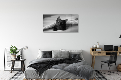 Fotografija na akrilnom staklu Mačka ispod deke
